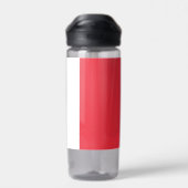 フランス国旗を掲げた水瓶 ウォーターボトル (背面)