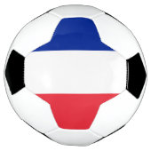 フランス国旗 サッカーボール (回転)