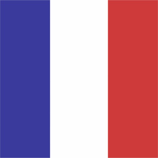 フランス国旗 シール (正面)