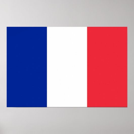 フランス国旗 ポスター (正面)