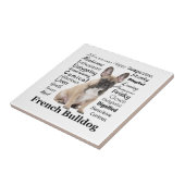 フランス性形質セラミックタイル タイル (側面)