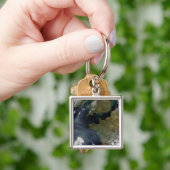 フランス汚染 キーホルダー (手)