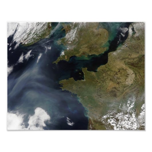 フランス汚染 フォトプリント            (正面)