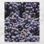 フランス産ブドウ ワインラベル (シングルラベル)