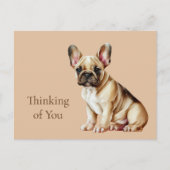 フランス考え犬の ポストカード (正面)