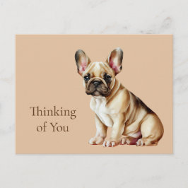 フランス考え犬の ポストカード