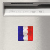 フランス芸術的国旗フランスの マグネット (インサイチュ (食洗機))