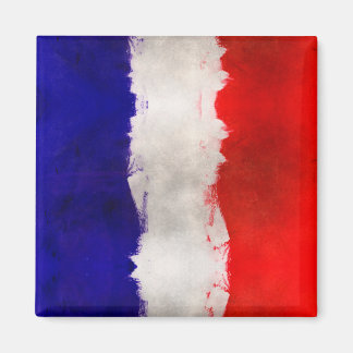 フランス芸術的国旗フランスの マグネット