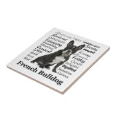 フランス語特性タイル タイル (側面)