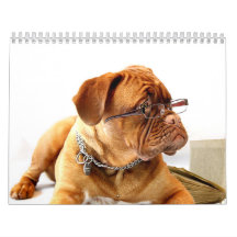 フランス語Mastiff Dogue de Bordeaux Calendar