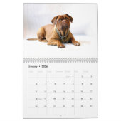フランス語Mastiff Dogue de Bordeaux Calendar カレンダー (1月 2026)