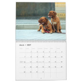 フランス語Mastiff Dogue de Bordeaux Calendar カレンダー (3月 2027)