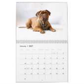 フランス語Mastiff Dogue de Bordeaux Calendar カレンダー (1月 2027)