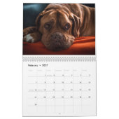 フランス語Mastiff Dogue de Bordeaux Calendar カレンダー (2月 2027)