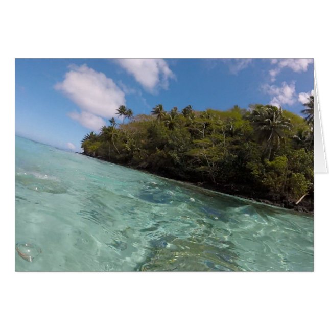 フランス領ポリネシアのスノーケル (正面横)