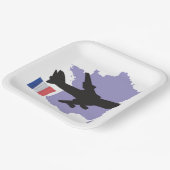 フランス飛んでいるへ ペーパープレート (傾斜あり)