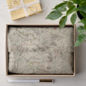 フランス2の都会 薄葉紙 (ギフト)