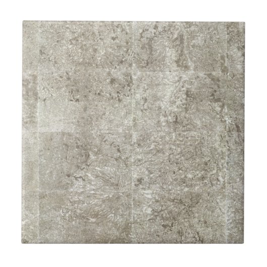 フランス9の合成の地図 タイル (正面)