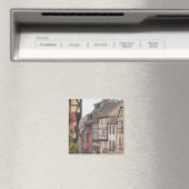 フランス，アルザス，リクイワール マグネット (インサイチュ (食洗機))