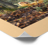 フランス，ウッドランドの牛 ポスター (角)