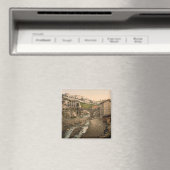 フランス，オーヴェルニュ，ティアーズ マグネット (インサイチュ (食洗機))