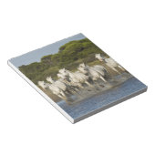 フランス、カマルグ。河口走を通る馬3 ノートパッド (アングル)