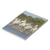 フランス、カマルグ。河口走を通る馬3 ノートパッド (回転)