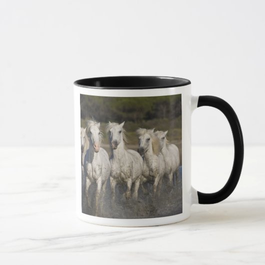 フランス、カマルグ。馬が走る マグカップ (右)