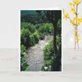 フランス カード (黄色い花)