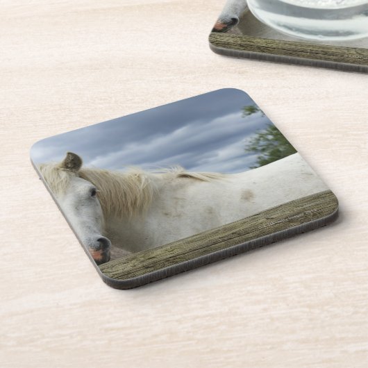 フランス コースター (左側)