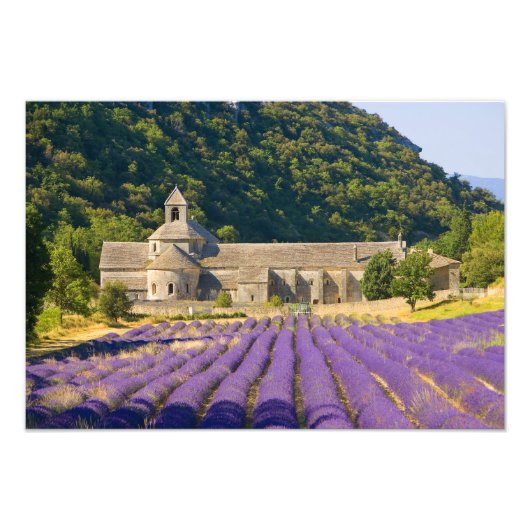 フランス、ゴルド。シトー会の修道院 フォトプリント            (正面)