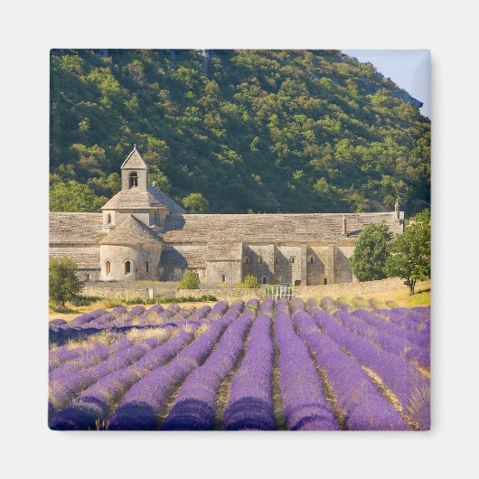 フランス、ゴルド。シトー会の修道院 マグネット (正面)