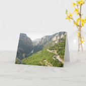 フランス，ゴージュデュヴェルドン カード (黄色い花)