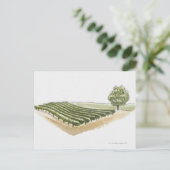 フランス，サンテミリオン ポストカード (スタンド正面)