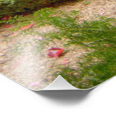 フランス、セント・レミー・ド・プロヴァンス、3時に閉鎖 フォトプリント            (角)