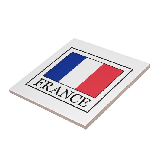 フランス タイル (側面)