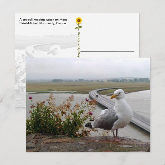 フランス,ノルマンディ,モン・サン・ミシェル・ルックアウト – ポストカード (正面/裏面)