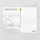 フランス,ノルマンディ,モン・サン・ミシェル・ルックアウト – ポストカード (裏面)