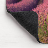 フランス,ハイプロヴァンスのラベンダーフィールド2 マウスパッド (コーナー)