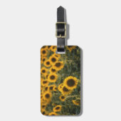 フランス、バウクルス、ヒマワリ畑 ラゲッジタグ (正面縦)