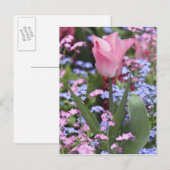 フランス，パリ，ルクセンブルクの庭園でのチューリップ ポストカード (正面/裏面)