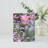 フランス，パリ，ルクセンブルクの庭園でのチューリップ ポストカード (スタンド正面)