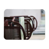 フランス、フランスのアルプス（オート、サヴォワ）、アネシー： マグネット (横)