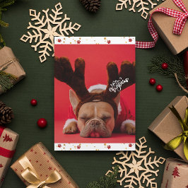 フランス・ブルドッグ かわいい犬 クリスマス