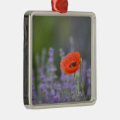 フランス、プロヴァンス。〜の分野のポピー メタルオーナメント (右)