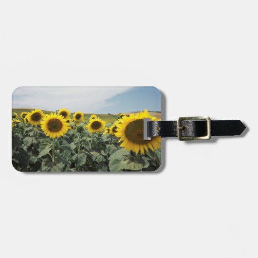 フランス プロヴァンス ひまわりの花畑の風景 ラゲッジタグ (正面横)