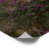 フランス、プロヴァンス、エズ。ブライトピンク ポスター (角)