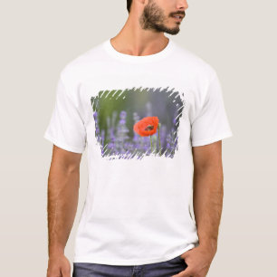 フランス、プロヴァンス。ヒナゲシのひとりぼっち Tシャツ