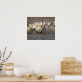 フランス、プロヴァンス。ホワイトカマルグランニングウマの ポスター (キッチン)