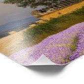 フランス、プロヴァンス。ラベンダーの分野 フォトプリント            (角)